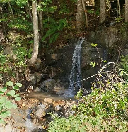 Stari Malni, - Vacation Stari Malni *