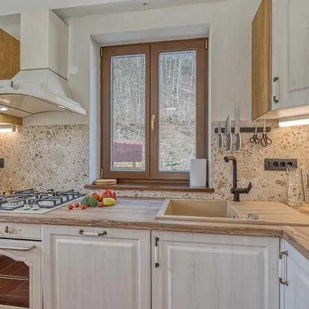 Stari Malni, - Vacation Stari Malni Počitniška hiša *