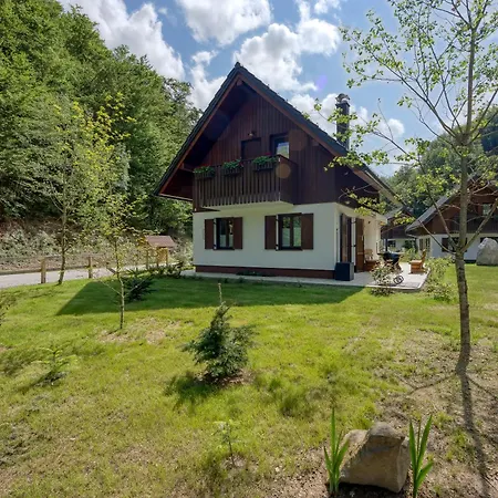 Holiday home Stari Malni, - Vacation Stari Malni Osilnica