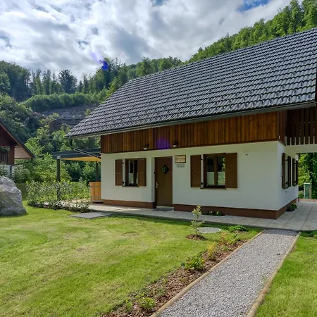 Holiday home Stari Malni, - Vacation Stari Malni *