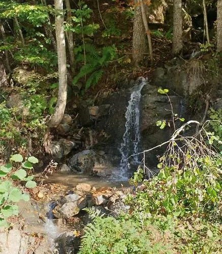 Stari Malni, - Vacation Stari Malni *