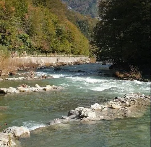 Prázdninový dům Stari Malni, - Vacation Stari Malni *